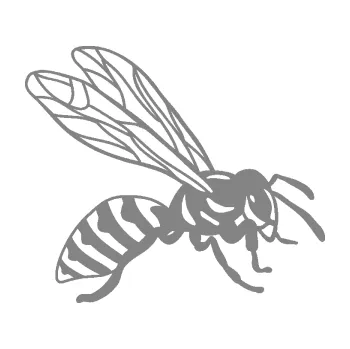 Samolepící dekorace SAMOLEPKA Vosa 006 pravá (17 - šedá) NA AUTO, NÁLEPKA, FÓLIE, POLEP, TUNING, VLASTNÍ TEXT, TISK, AUTOSAMOLEPKY.cz, POLEPY, OBRÁZEK, LOGO, SAMOLEPKY