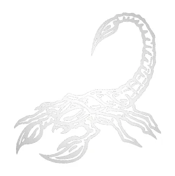 Polep vozidla SAMOLEPKA Štír 021 levá (82 - odrazková reflexní bílá) NA AUTO, NÁLEPKA, FÓLIE, POLEP, TUNING, VLASTNÍ TEXT, TISK, AUTOSAMOLEPKY.cz, POLEPY, OBRÁZEK, LOGO, SAMOLEPKY