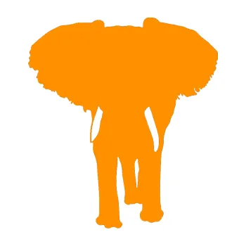 Samolepící dekorace SAMOLEPKA Slon 023 levá (06 - oranžová) NA AUTO, NÁLEPKA, FÓLIE, POLEP, TUNING, VLASTNÍ TEXT, TISK, AUTOSAMOLEPKY.cz, POLEPY, OBRÁZEK, LOGO, SAMOLEPKY