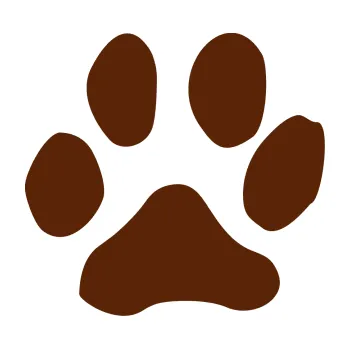 Samolepící dekorace Tlapka 001 pravá (15 - hnědá) SAMOLEPKA NA AUTO, NÁLEPKA, FÓLIE, POLEP, TUNING, VLASTNÍ TEXT, TISK, AUTOSAMOLEPKY.cz, POLEPY, OBRÁZEK, LOGO, 3D STICKERS