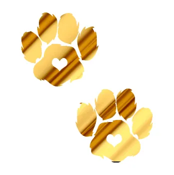 samolepka Tlapky 006 (81 - chrom fólie zlatá zrcadlová) SAMOLEPKA NA AUTO, NÁLEPKA, FÓLIE, POLEP, TUNING, VLASTNÍ TEXT, TISK, AUTOSAMOLEPKY.cz, POLEPY, OBRÁZEK, LOGO, 3D STICKERS