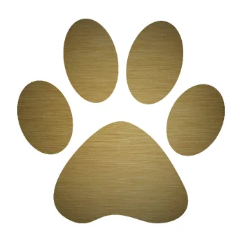 samolepka Tlapka 005 (64 - škrábaný kov zlatý) SAMOLEPKA NA AUTO, NÁLEPKA, FÓLIE, POLEP, TUNING, VLASTNÍ TEXT, TISK, AUTOSAMOLEPKY.cz, POLEPY, OBRÁZEK, LOGO, 3D STICKERS