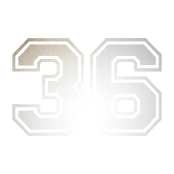 Polep vozidla Startovní číslo 36 typ 4 (82 - odrazková reflexní bílá) SAMOLEPKA NA AUTO, NÁLEPKA, FÓLIE, POLEP, TUNING, VLASTNÍ TEXT, TISK, AUTOSAMOLEPKY.cz, POLEPY, OBRÁZEK, LOGO, 3D STICKERS