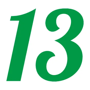 Polep vozidla Startovní číslo 13 typ 3 (12 - zelená) SAMOLEPKA NA AUTO, NÁLEPKA, FÓLIE, POLEP, TUNING, VLASTNÍ TEXT, TISK, AUTOSAMOLEPKY.cz, POLEPY, OBRÁZEK, LOGO, 3D STICKERS