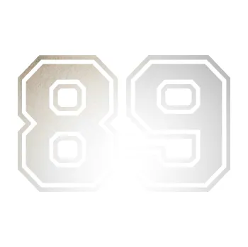 Polep vozidla Startovní číslo 89 typ 4 (82 - odrazková reflexní bílá) SAMOLEPKA NA AUTO, NÁLEPKA, FÓLIE, POLEP, TUNING, VLASTNÍ TEXT, TISK, AUTOSAMOLEPKY.cz, POLEPY, OBRÁZEK, LOGO, 3D STICKERS