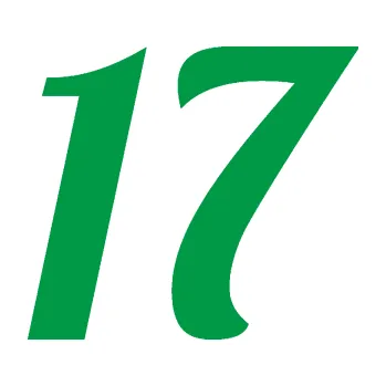 Polep vozidla Startovní číslo 17 typ 3 (12 - zelená) SAMOLEPKA NA AUTO, NÁLEPKA, FÓLIE, POLEP, TUNING, VLASTNÍ TEXT, TISK, AUTOSAMOLEPKY.cz, POLEPY, OBRÁZEK, LOGO, 3D STICKERS