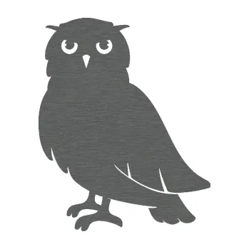 Samolepicí dekorace na vozidlo Sova 003 levá (62 - škrábaný titan) SAMOLEPKA NA AUTO, NÁLEPKA, FÓLIE, POLEP, TUNING, VLASTNÍ TEXT, TISK, AUTOSAMOLEPKY.cz, POLEPY, OBRÁZEK, LOGO, 3D STICKERS