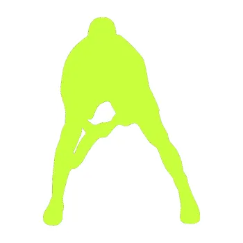 Polep vozidla Tenista 004 levá (27 - limetová) SAMOLEPKA NA AUTO, NÁLEPKA, FÓLIE, POLEP, TUNING, VLASTNÍ TEXT, TISK, AUTOSAMOLEPKY.cz, POLEPY, OBRÁZEK, LOGO, 3D STICKERS