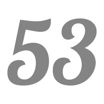 Polep vozidla Startovní číslo 53 typ 3 (17 - šedá) SAMOLEPKA NA AUTO, NÁLEPKA, FÓLIE, POLEP, TUNING, VLASTNÍ TEXT, TISK, AUTOSAMOLEPKY.cz, POLEPY, OBRÁZEK, LOGO, 3D STICKERS