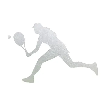 Polep vozidla Tenistka 001 levá (60 - pískované sklo) SAMOLEPKA NA AUTO, NÁLEPKA, FÓLIE, POLEP, TUNING, VLASTNÍ TEXT, TISK, AUTOSAMOLEPKY.cz, POLEPY, OBRÁZEK, LOGO, 3D STICKERS