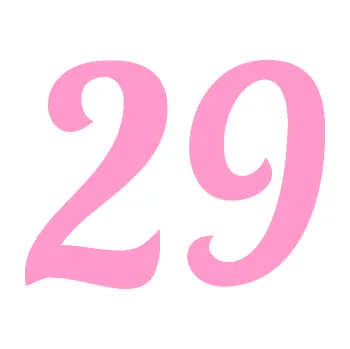 Polep vozidla Startovní číslo 29 typ 3 (24 - světle růžová) SAMOLEPKA NA AUTO, NÁLEPKA, FÓLIE, POLEP, TUNING, VLASTNÍ TEXT, TISK, AUTOSAMOLEPKY.cz, POLEPY, OBRÁZEK, LOGO, 3D STICKERS