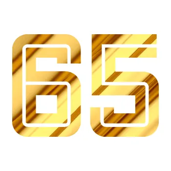 Polep vozidla Startovní číslo 65 typ 7 (81 - chrom fólie zlatá zrcadlová) SAMOLEPKA NA AUTO, NÁLEPKA, FÓLIE, POLEP, TUNING, VLASTNÍ TEXT, TISK, AUTOSAMOLEPKY.cz, POLEPY, OBRÁZEK, LOGO, 3D STICKERS