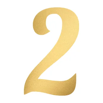 Polep vozidla Startovní číslo 2 typ 3 (43 - zlatá metalíza) SAMOLEPKA NA AUTO, NÁLEPKA, FÓLIE, POLEP, TUNING, VLASTNÍ TEXT, TISK, AUTOSAMOLEPKY.cz, POLEPY, OBRÁZEK, LOGO, 3D STICKERS