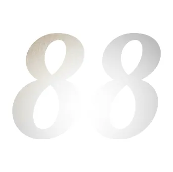 Polep vozidla Startovní číslo 88 typ 3 (82 - odrazková reflexní bílá) SAMOLEPKA NA AUTO, NÁLEPKA, FÓLIE, POLEP, TUNING, VLASTNÍ TEXT, TISK, AUTOSAMOLEPKY.cz, POLEPY, OBRÁZEK, LOGO, 3D STICKERS