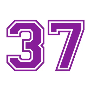 Polep vozidla Startovní číslo 37 typ 4 (14 - fialová) SAMOLEPKA NA AUTO, NÁLEPKA, FÓLIE, POLEP, TUNING, VLASTNÍ TEXT, TISK, AUTOSAMOLEPKY.cz, POLEPY, OBRÁZEK, LOGO, 3D STICKERS