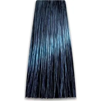 Barva na vlasy 1/1 Prosalon Professional Intensis Color Art (100 gr)