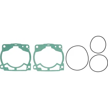 Těsnění pro motocykl Sada závodních těsnění KTM 300 EXC rok 17-18