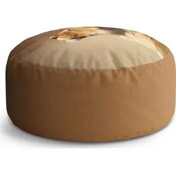 Sedací pytel Kulatý taburet Circle Lvice 2: 38x48 cm - Sablio