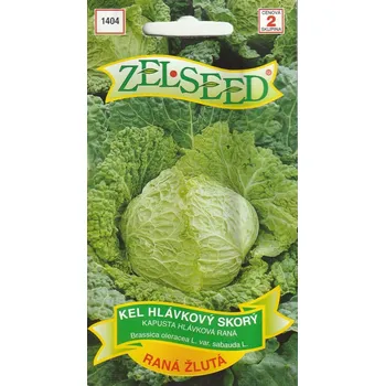 Semeno Kapusta hlávková (raná, žlutá)