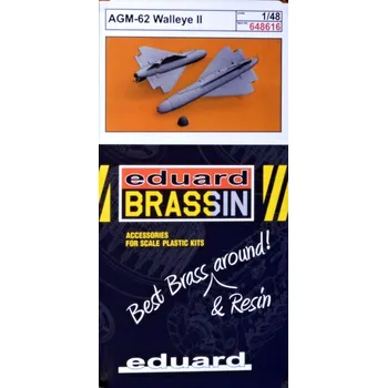 Plastikový model BRASSIN 1/48 AGM-62 Walleye II