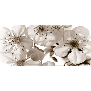 Fototapeta FTN H 2706 Obrazová vliesová fototapeta na zeď panoramatická FTNH2706 Poupata, velikost 202 x 90 cm