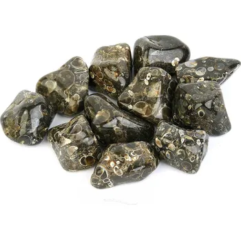 Přírodní kámen Achát turritella troml (cca 30 - 40mm)