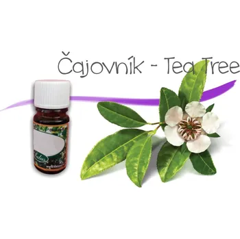 Vonný olej Čajovník Tea-tree - vonnekameny.cz