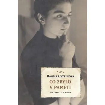 Umění Co zbylo v paměti - (Edice Paměť - Academia)