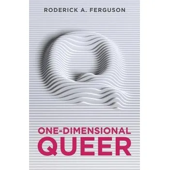 One-Dimensional Queer - Ferguson, Roderick A.