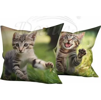 Dekorativní polštářek Dante Povlak Kotě v trávě - 40 x 40 cm