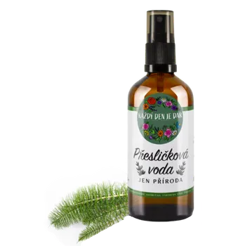 Každý den je dar Přesličková voda 200 ml