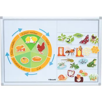 Životní cyklus zvířat