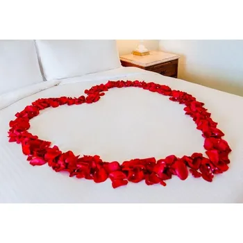 Svatební dekorace Okvětní lístky do postele, Červené 100 ks