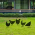 Zahradní dekorace ASIR Chickens 29783601 černé