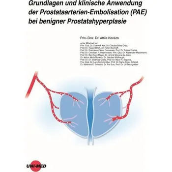 Grundlagen und klinische Anwendung der Prostataarterien-Embolisation (PAE) bei benigner Prostatahyperplasie - Kovács, Attila