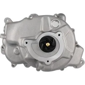 Těsnění motoru Water pump RMS 100110750
