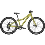 Scott Roxter 24" green 2025 Zelená