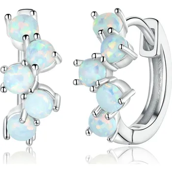 Náušnice Dámské stříbrné náušnice KELSI Ag 925