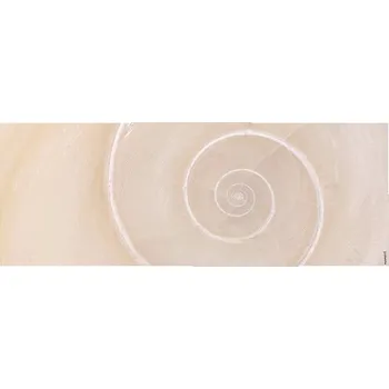 Obklad Koupelnová zádní stěna mySPOTTI aqua Schnecke 120x45 cm