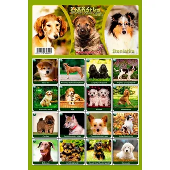 Pexeso Pexeso, ŠTĚŇÁTKA, A4, 1 kus