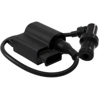 Zapalovací cívka Zapalovací cívka RMS 246010501