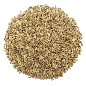 Nápoj Ostropestřec plod - celý, balení 1 kg