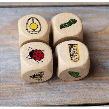 Rezekvítek Vývojové kostky