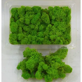 Dekorace do terária Mech pro terárium barevný 200g (Mech pro terárium barevný 200g)