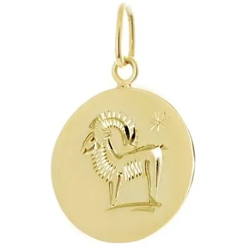 Přívěsek Přívěšek znamení Kozoroh ze žlutého zlata ZZ0683KOZF + dárek zdarma