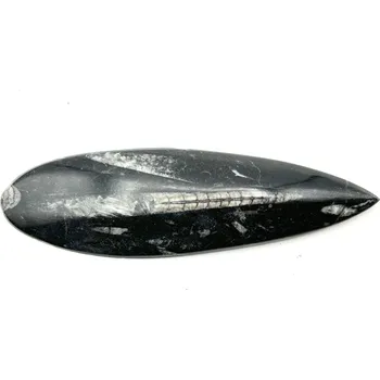 Přírodní kámen Magieprirody.cz Fosilie Orthoceras 170 mm (Maroko) #K709