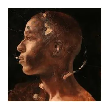 Zahraniční hudba 2LP sor: Bae Doven LTD 2023 Store Exclusive Dracula 2LP Vinyl Special Limited Edition