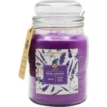 Arôme Svíčka ve skle 560 g Dried…