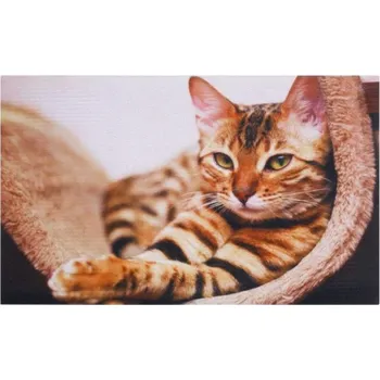 Rohožka Vnitřní čistící vstupní rohož FLOMA Gallery Cat - délka 45 cm, šířka 75 cm a výška 0,6 cm