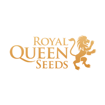 Semeno Royal Queen Seeds Auto Watermelon Počet ks Feminizované: 1